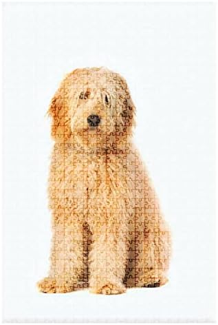 500Piece Puzzle Golden Doodle Dog Indoor Activities Difficult Jigsaw Puzzle Set for Adults Children Educational Toys Gift