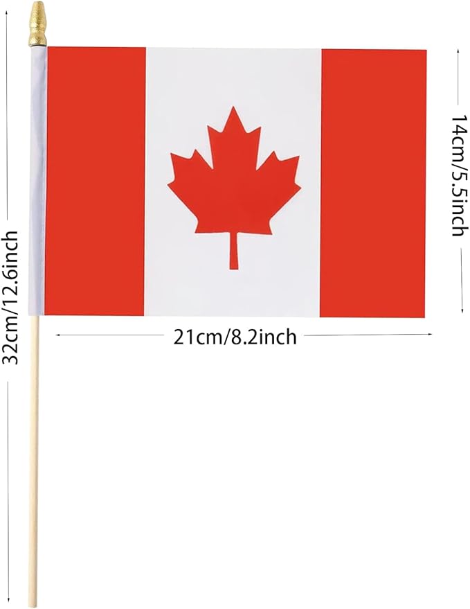 GSYLPFT 12 Pack Canadian Flags on Sticks Canada Small Mini Hand Held Flags for Office Classroom Holiday Party Decorations