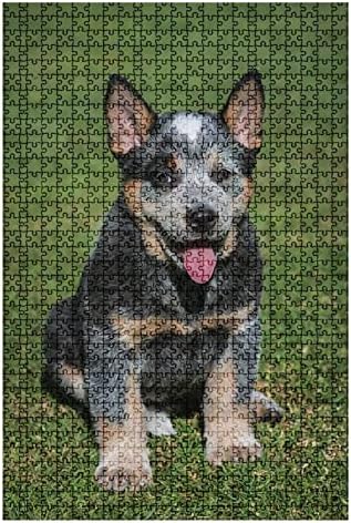 1000 Piece Puzzle Australian Cattle Dog Puppy Blue Heeler Outdoors Indoor Activities Difficult Jigsaw Puzzle Set for Adults Children Educational Toys Gift