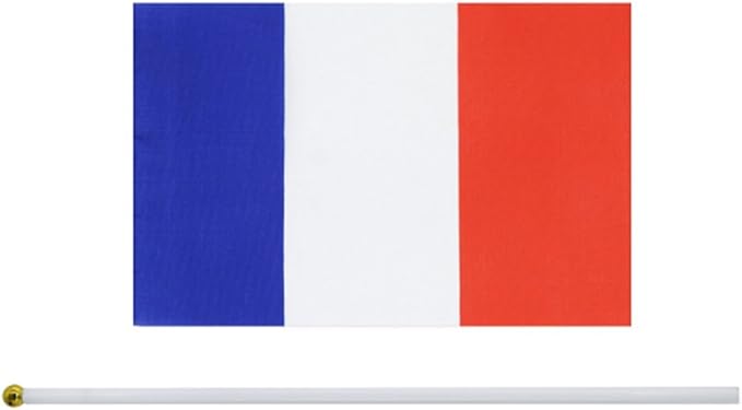 20 Pack Small France Flags on Stick Mini Handheld French Flag for Parades, Independence Day and Patriotic Events 5x8 Inch Durable Weather-Resistant Flags with 12 Inch Sticks(France)