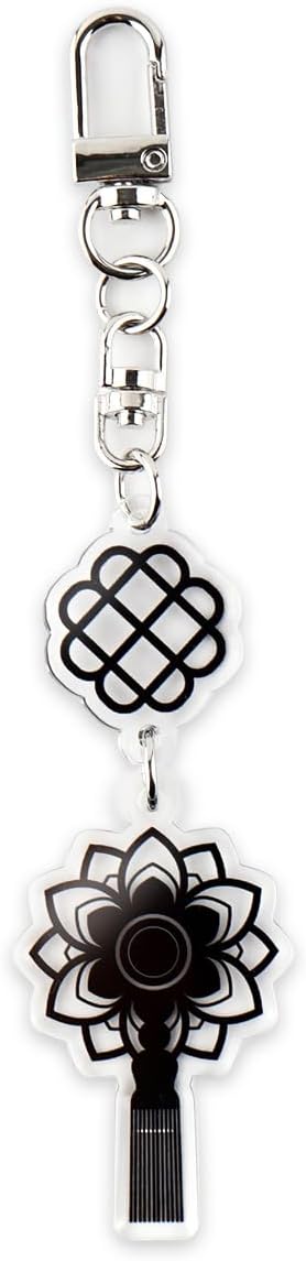 PUBLOG 10PCS Korean Style k music pop Culture Acrylic keyring, bag charm, keychains accessories