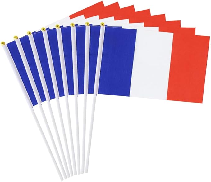 20 Pack Small France Flags on Stick Mini Handheld French Flag for Parades, Independence Day and Patriotic Events 5x8 Inch Durable Weather-Resistant Flags with 12 Inch Sticks(France)