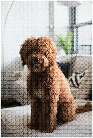 500Piece Puzzle Goldendoodle Portrait Sitting on Couch Indoors Indoor Activities Difficult Jigsaw Puzzle Set for Adults Children Educational Toys Gift