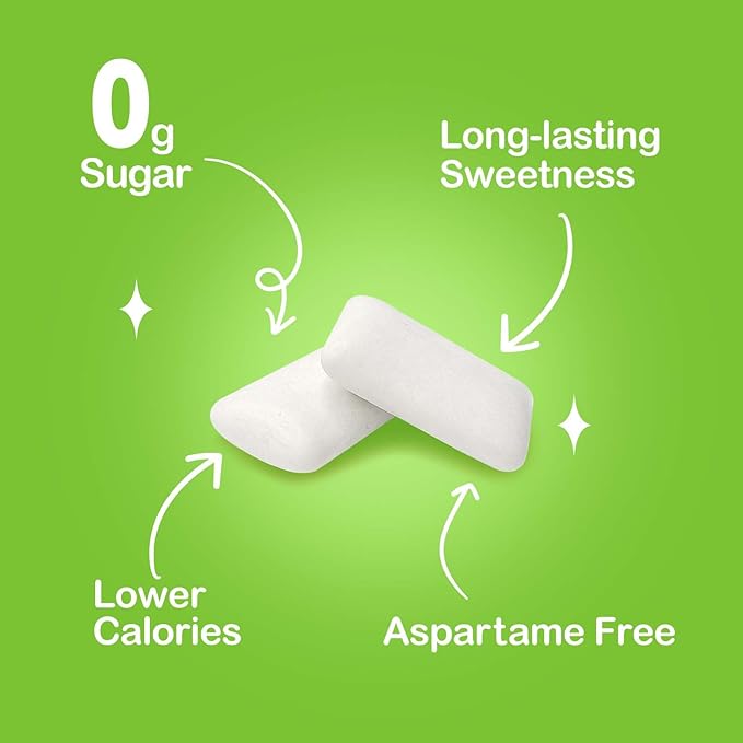 DC24 DAILY CARE Xylitol Chewing Gum with Erythritol, Aspartame Free & Sugar Free Gum, Low-Calorie, Sugarless, Long Lasting Spearmint, 60 Pieces (Pack of 1)