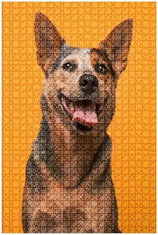 1000 Piece Puzzle Portrait of a Australian Cattle Dog with a Big Smile Looking Straight Indoor Activities Difficult Jigsaw Puzzle Set for Adults Children Educational Toys Gift