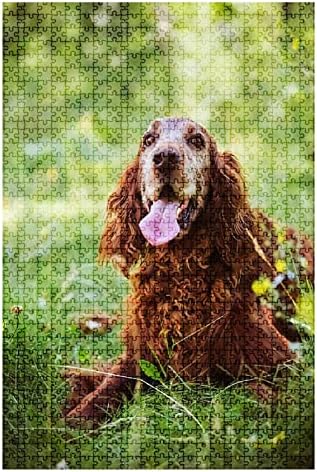 1000 Piece Puzzle Dog Portrait Red Irish Setter Indoor Activities Difficult Jigsaw Puzzle Set for Adults Children Educational Toys Gift