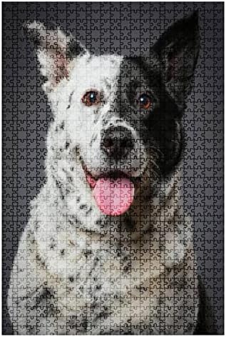 1000 Piece Puzzle Mixed Breed Australian Shepherd Blue Heeler Dog Indoor Activities Difficult Jigsaw Puzzle Set for Adults Children Educational Toys Gift