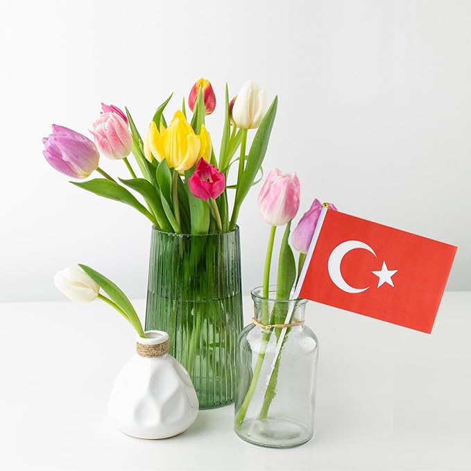 Turkey Flag Small Turkish Flag 12 Pack Mini Hand Held Turkish Flags on Sticks for Party Parades Sports Events Patriotic Holiday Decorations