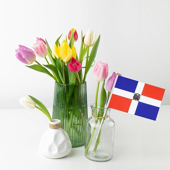 Dominica Flag Small Dominican Flag 12 Pack Mini Hand Held Dominican Flags on Sticks for Party Parades Sports Events Patriotic Holiday Decorations