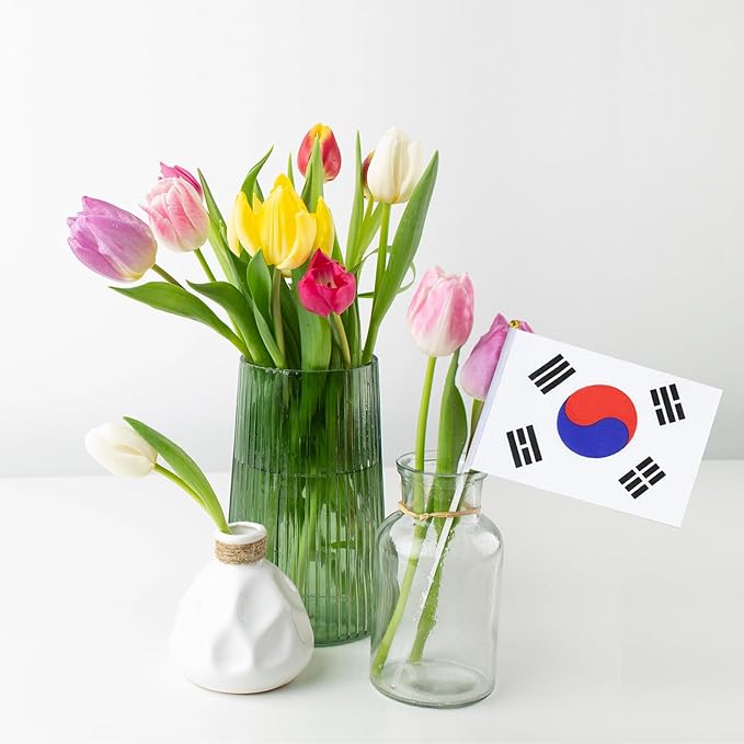 South Korea Flag Small Korean Flag 12 Pack Mini Hand Held South Korean Flags on Sticks for Party Parades Sports Events Patriotic Holiday Decorations