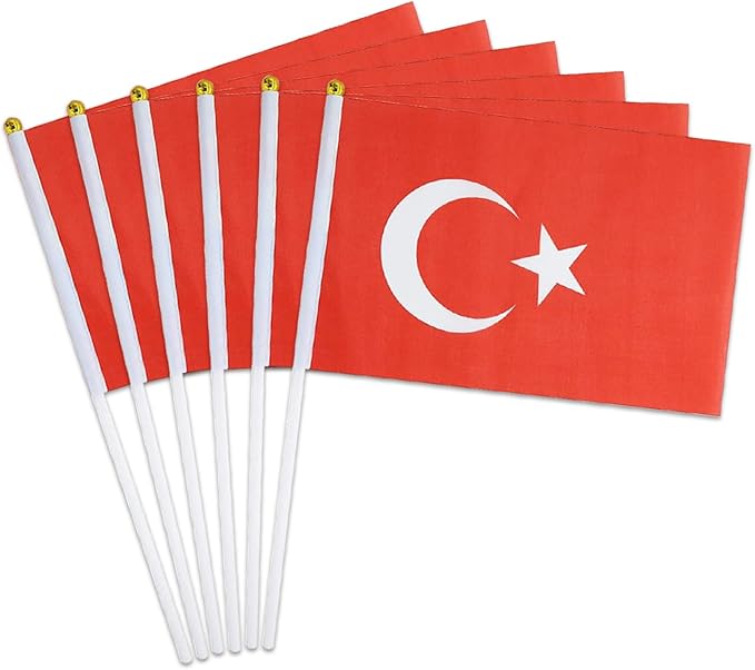 Turkey Flag Small Turkish Flag 12 Pack Mini Hand Held Turkish Flags on Sticks for Party Parades Sports Events Patriotic Holiday Decorations
