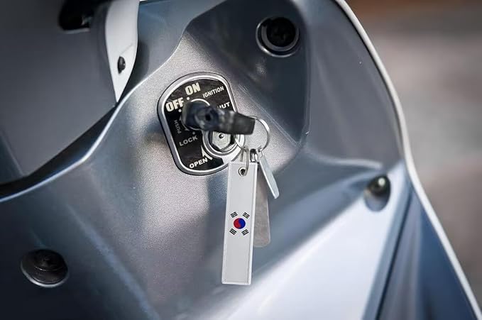 LLBFHH 3 Pcs Korea Korean Country Flag Keychain,Woven label Key Chains for Car Keys,Fabric Key Chains Men and Women,Used for Various Decorations.