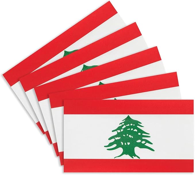 CANTENDO 5Pcs Lebanon Flag Decal Sticker - Lebanese Flags Reflective Vinyl Car Stickers - for Car Window Bumper Waterproof Sticker (2.5 x 4.5 Inch)