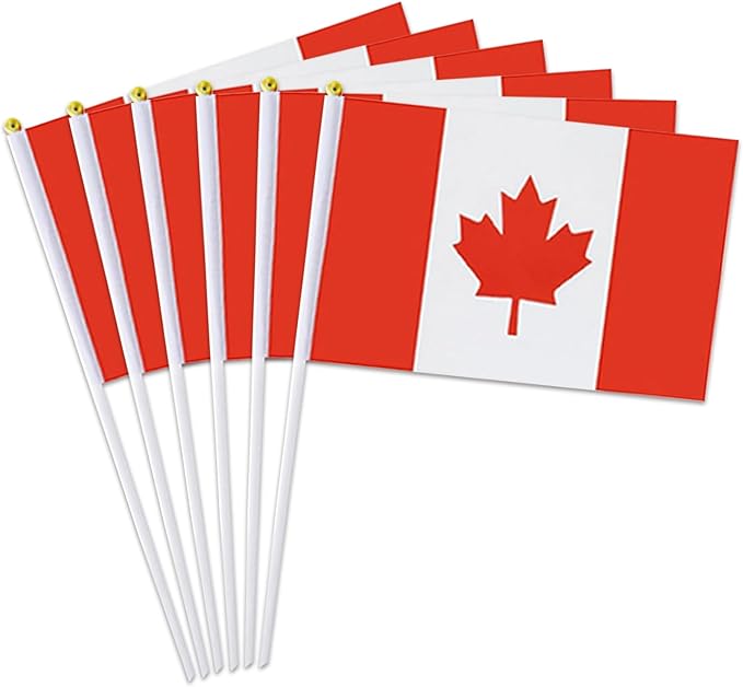 Canada Flag Small Canadian Flag 12 Pack Mini Hand Held Canadian Flags on Sticks for Party Parades Sports Events Patriotic Holiday Decorations