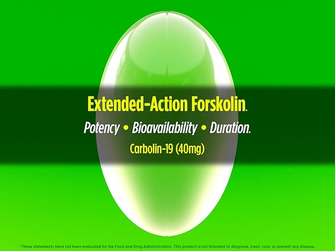 Biotest Carbolin 19 – Longer-Lasting Forskolin for Fat Loss & Metabolic Performance,* 30 Servings – 60 Softgels