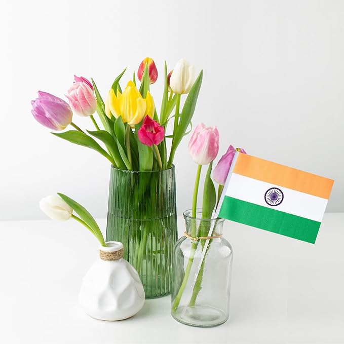 India Flag Small Indian Flag 12 Pack Mini Hand Held Indian Flags on Sticks for Party Parades Sports Events Patriotic Holiday Decorations
