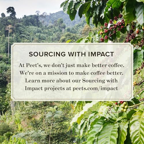 Peet's Coffee, Dark Roast Single Serve Coffee Pods - Holiday Blend 22 Count (1 Box of 22 Pods) (Pack of 2)