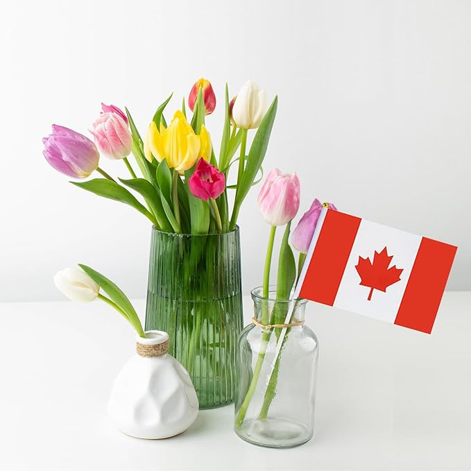 Canada Flag Small Canadian Flag 12 Pack Mini Hand Held Canadian Flags on Sticks for Party Parades Sports Events Patriotic Holiday Decorations
