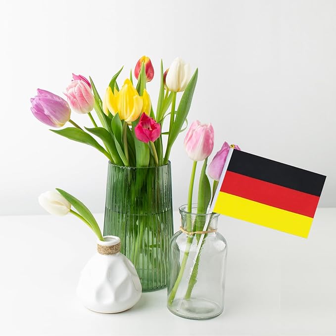 German Flag Small German Flag 12 Pack Mini Hand Held German Flags on Sticks for Party Parades Sports Events Patriotic Holiday Decorations