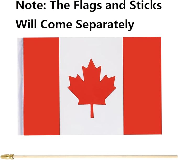 GSYLPFT 12 Pack Canadian Flags on Sticks Canada Small Mini Hand Held Flags for Office Classroom Holiday Party Decorations