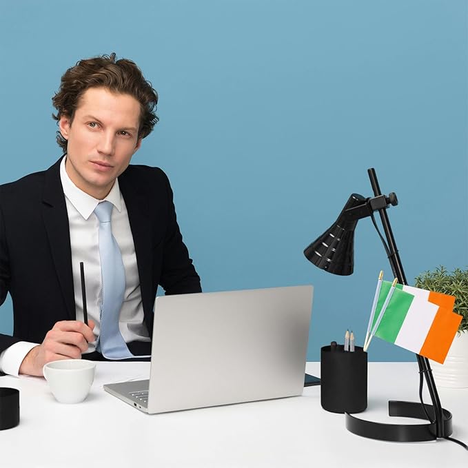GSYLPFT 12 Pack Irish Flags on Sticks Ireland Small Mini Hand Held Flags for Office Classroom Holiday Party Decorations