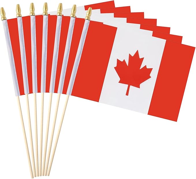 GSYLPFT 12 Pack Canadian Flags on Sticks Canada Small Mini Hand Held Flags for Office Classroom Holiday Party Decorations