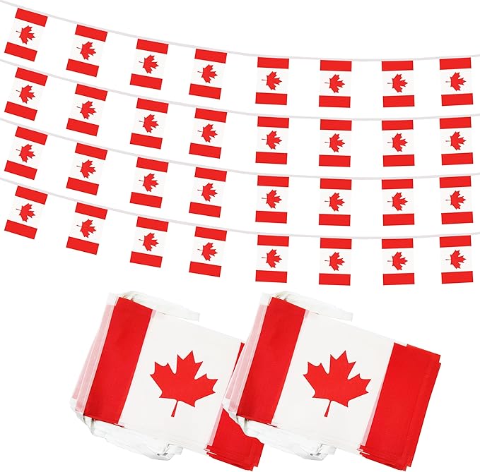Yamiuo 100 Feet Canada String Flag, 76 Pcs Canadian Banner Flag, Small Mini World Banner Flags for Sports Events, Bars Decorations, School Festivals, Party Decorations, Celebrations (Canada)