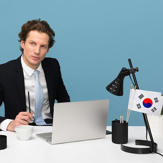 GSYLPFT 12 Pack South Korea Flags on Sticks Korean Small Mini Hand Held Flags for Office Classroom Holiday Party Decorations