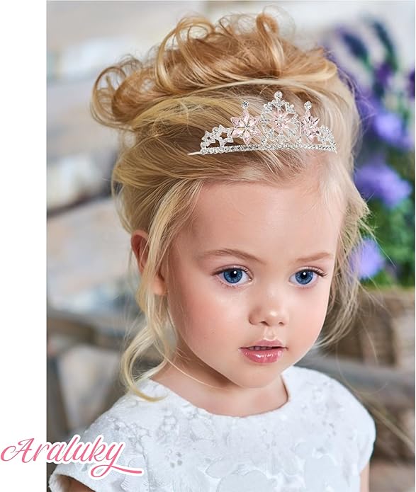 Frozen Elsa Tiaras for Girls Snowflakes Princess Crowns for Girls Sapphire Crystal Tiara and Crown for Women Birthday Girl Crown for Birthday Wedding Pageant Prom Halloween Costume Party