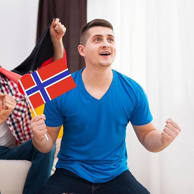 Norway Flag Small Norwegian Flag 12 Pack Mini Hand Held Norwegian Flags on Sticks for Party Parades Sports Events Patriotic Holiday Decorations