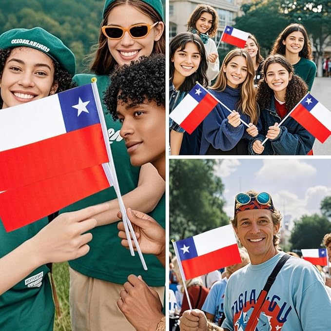 20 Pack Small Chile Flags on Stick Mini Handheld Chilean Flag for Parades, Independence Day and Patriotic Events 5x8 Inch Durable Weather-Resistant Flags with 12 Inch Sticks(Chile)