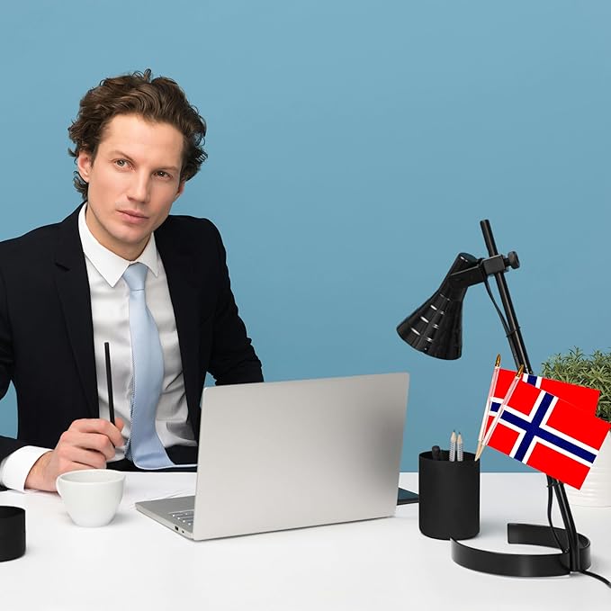 GSYLPFT 12 Pack Norwegian Flags on Sticks Norway Small Mini Hand Held Flags for Office Classroom Holiday Party Decorations