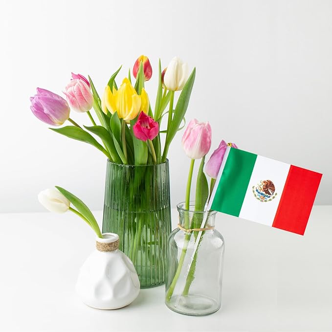 Mexico Flag Small Mexican Flag 12 Pack Mini Hand Held Mexican Flags on Sticks for Party Parades Sports Events Patriotic Holiday Decorations
