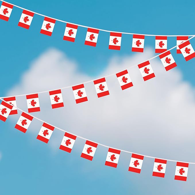 Yamiuo 100 Feet Canada String Flag, 76 Pcs Canadian Banner Flag, Small Mini World Banner Flags for Sports Events, Bars Decorations, School Festivals, Party Decorations, Celebrations (Canada)