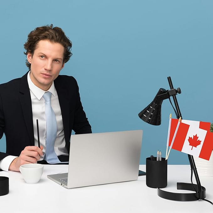 GSYLPFT 12 Pack Canadian Flags on Sticks Canada Small Mini Hand Held Flags for Office Classroom Holiday Party Decorations
