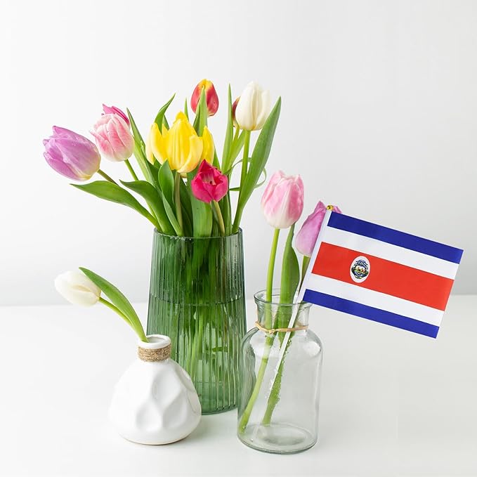 Costa Rica Flag Small Costa Rican Flag 12 Pack Mini Hand Held Costa Rican Flags on Sticks for Party Parades Sports Events Patriotic Holiday Decorations