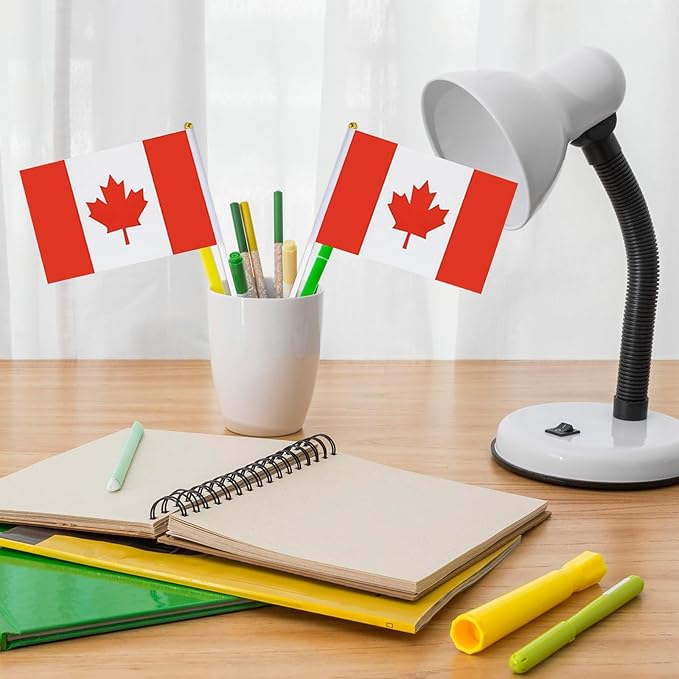 Canada Flag Small Canadian Flag 12 Pack Mini Hand Held Canadian Flags on Sticks for Party Parades Sports Events Patriotic Holiday Decorations