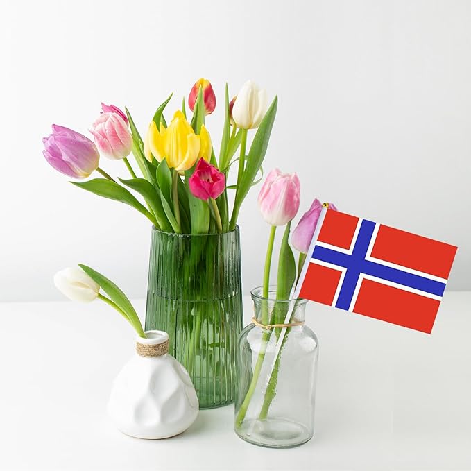 Norway Flag Small Norwegian Flag 12 Pack Mini Hand Held Norwegian Flags on Sticks for Party Parades Sports Events Patriotic Holiday Decorations