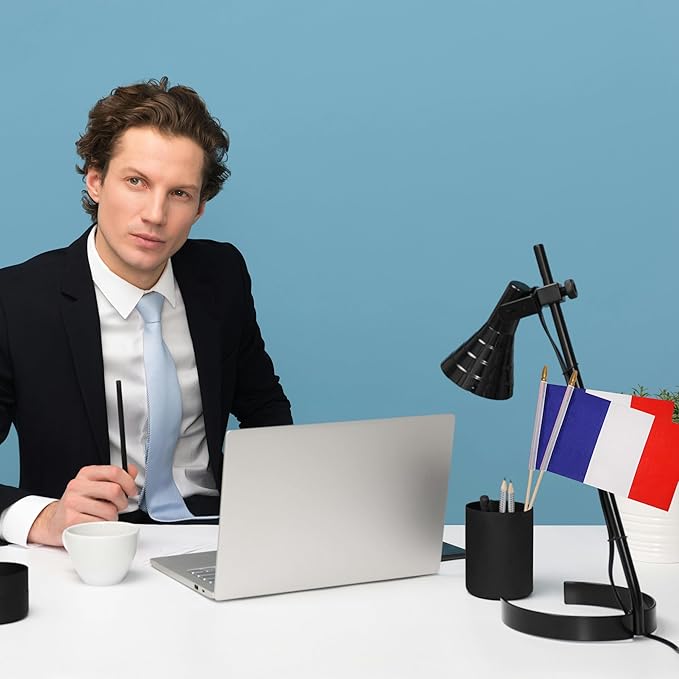 GSYLPFT 12 Pack French Flags on Sticks France Small Mini Hand Held Flags for Office Classroom Holiday Party Decorations