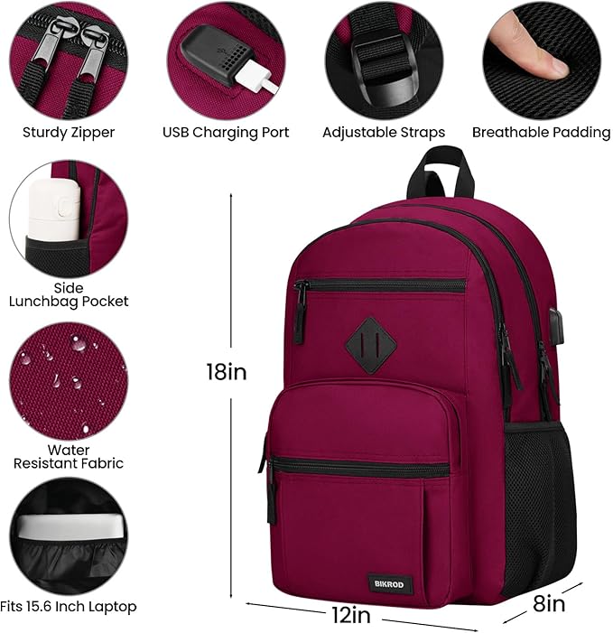 BIKROD Backpack for Girls Women, School Backpack for Teen Boys, Lightweight Casual High School Bookbag, Daily-use Travel Laptop Backpack with USB Charging Port Fits 15.6 Inch Notebook