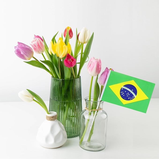 Brazil Flag Small Brazilian Flag 12 Pack Mini Hand Held Brazilian Flags on Sticks for Party Parades Sports Events Patriotic Holiday Decorations