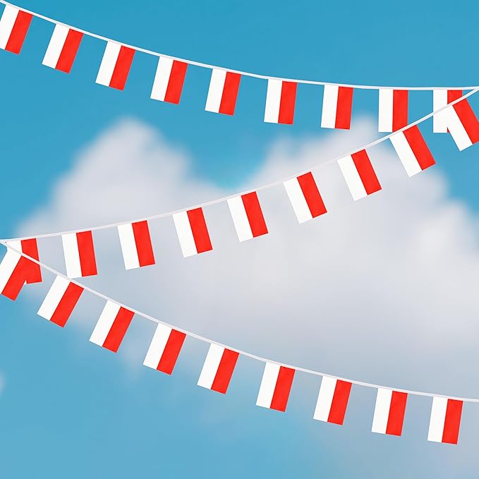 Yamiuo 100 Feet Indonesia String Flag, 76 Pcs Indonesian Banner Flag, Small Mini World Banner Flags for Sports Events, Bars Decorations, School Festivals, Party Decorations, Celebrations (Indonesia)