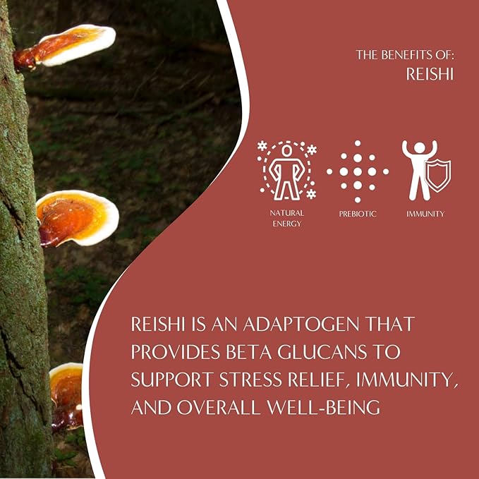 Teeccino Reishi Eleuthero Coffee Alternative - French Roast - Organic Adaptogenic Herbal Mushroom Coffee, Dark Roast, Caffeine Free, Prebiotic, Acid Free, All-Purpose Grind - 10 Oz, Pack of 3