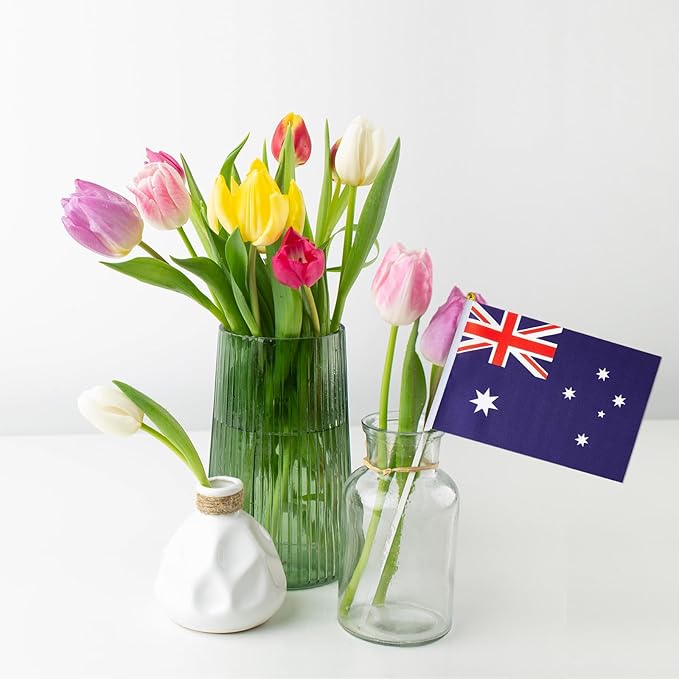 Australia Flag Small Australian Flag 12 Pack Mini Hand Held Australian Flags on Sticks for Party Parades Sports Events Patriotic Holiday Decorations