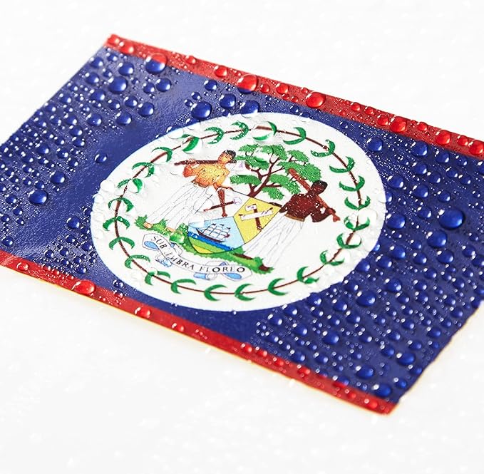 CANTENDO 5Pcs Belize Flag Decal Sticker - Belizean Flag Reflective Vinyl Car Stickers - for Car Window Bumper Waterproof Sticker (2.5 x 4.5 Inch)