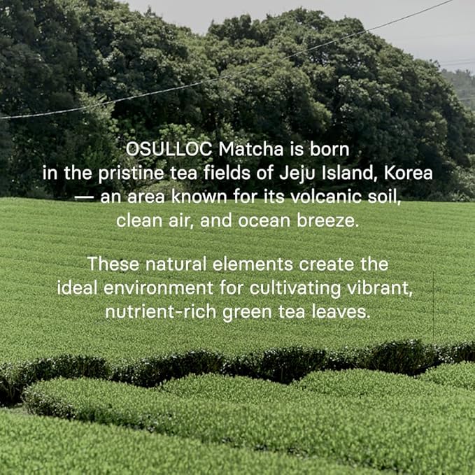 OSULLOC Volcanic Isle Matcha Powder, Ceremonial Grade Korean Matcha for lattes, Green tea powder from Jeju island (1.41oz, 40g)