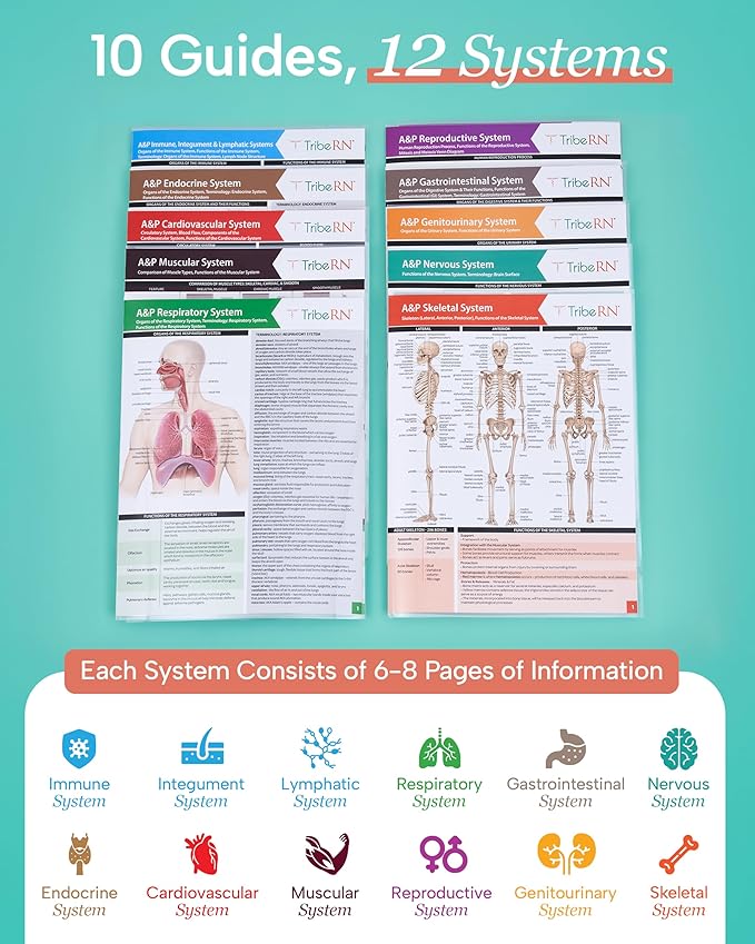 TribeRN Anatomy & Physiology Study Guides - Set of 10 Human Anatomy Guides for Nursing Students, School, College, Medical Professions - 12 Topics on Body Systems w/ Reference Charts & Terminology