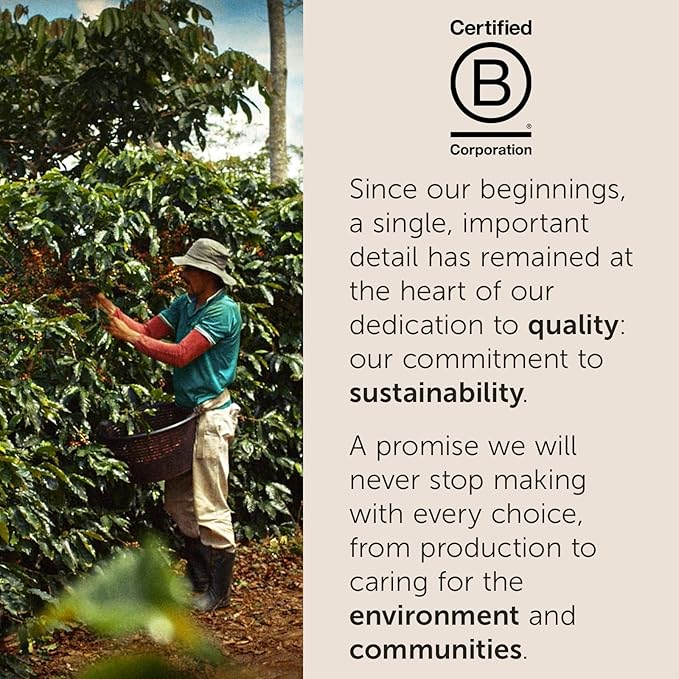 illy Instant Coffee Singles, Classico Decaf Medium Roast, Caramel & Orange Blossom Notes, 40 Single-Serve Packets (2g Each) - Premium Arabica Coffee