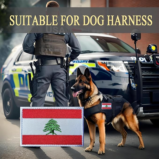 EmWoot 2PCS Lebanon Flag Patch Embroidered Morale Patch Military Tactical Patches Hook and Loop