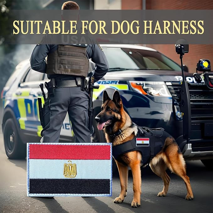 EmWoot 2PCS Egypt Flag Patch Embroidered Morale Patch Military Tactical Patches Hook and Loop
